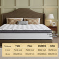 Queen Size Mattress | Independent Pocket Coil & Memory Foam | Boxed Compressed Delivery 10\u002F12\u002F14 Inches Twin, Full, Queen, King